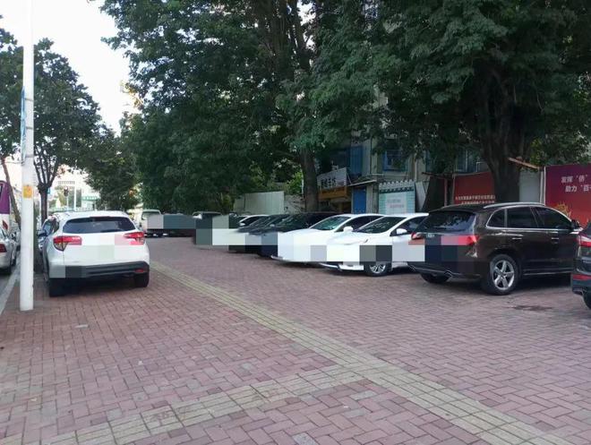 设地锁一车主占用公共停车位麻将胡了潮汕一地公共道路私(图6)