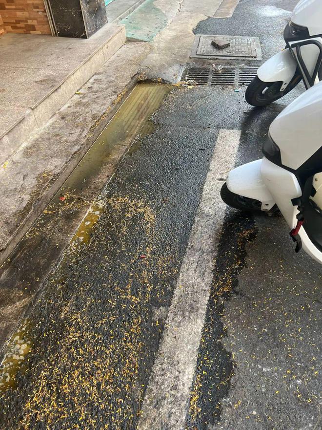 设地锁一车主占用公共停车位麻将胡了潮汕一地公共道路私(图9) 设地锁一车主占用公共停车位麻将胡了潮汕一地公共道路私(图9)