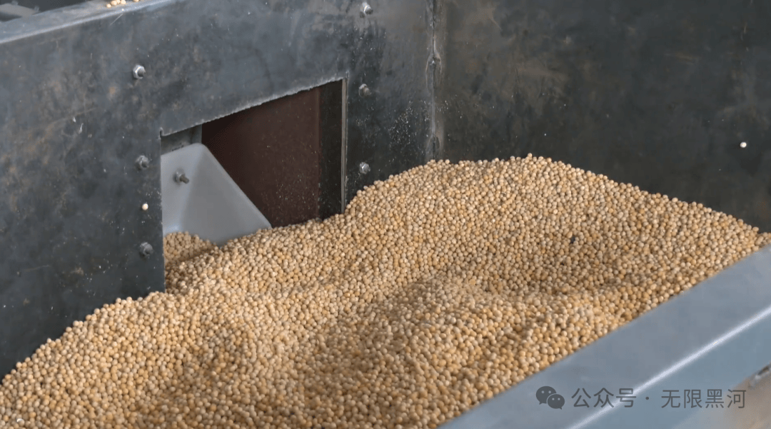 非转基因大豆产业链加工项目正式投产速览!麻将胡了总投资3380万元→北安2万吨(图1) 非转基因大豆产业链加工项目正式投产速览!麻将胡了总投资3380万元→北安2万吨(图1)