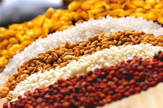 佳酿常“香”伴霜降好“食”光麻将胡了模拟器试玩五粮液:(图2) 佳酿常“香”伴霜降好“食”光麻将胡了模拟器试玩五粮液:(图2)