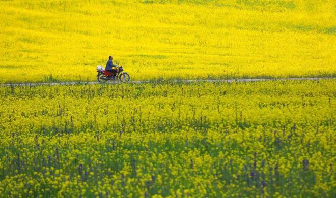 最不能做4件事:1不碰2不去3不出4不吃PG麻将胡了免费试玩模拟器明日春分牢记(图2) 最不能做4件事:1不碰2不去3不出4不吃PG麻将胡了免费试玩模拟器明日春分牢记(图2)