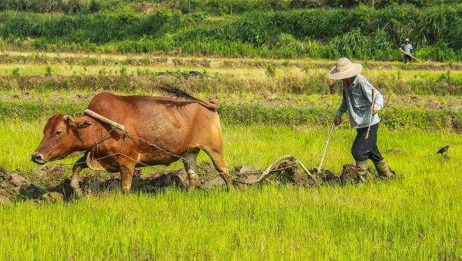 最不能做4件事:1不碰2不去3不出4不吃PG麻将胡了免费试玩模拟器明日春分牢记(图3) 最不能做4件事:1不碰2不去3不出4不吃PG麻将胡了免费试玩模拟器明日春分牢记(图3)