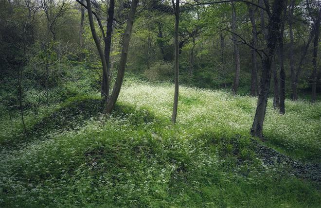 最不能做4件事:1不碰2不去3不出4不吃PG麻将胡了免费试玩模拟器明日春分牢记(图5) 最不能做4件事:1不碰2不去3不出4不吃PG麻将胡了免费试玩模拟器明日春分牢记(图5)