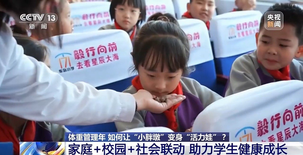 ” 各地中小学解锁定制版“活力养成手册”PG电子麻将胡了模拟器为小胖墩“开处方