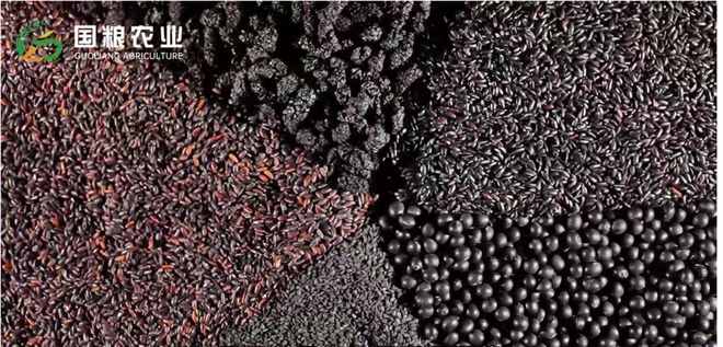 杂粮粉：传统与现代的完美融合麻将胡了试玩平台国粮农业黑色