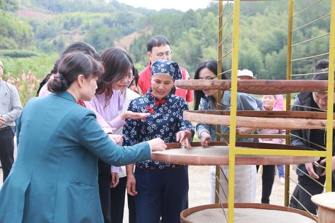 百年“米香”焕发新生PG麻将胡了福建华安(图3)